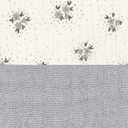 Gris