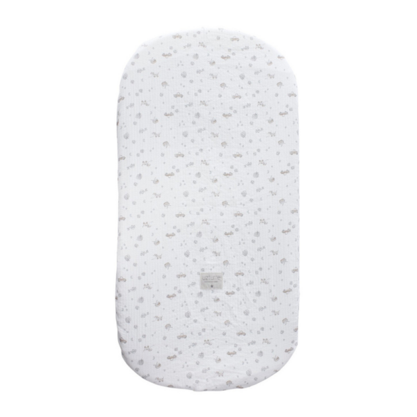 Bajera Capazo Lucca Uzturre