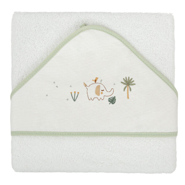 Maxicapa Palm Bimbidreams