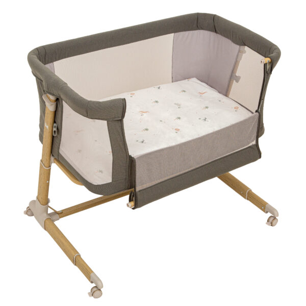Minicuna Colecho Palm Bimbidreams