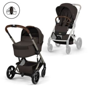 Chocolate Brown