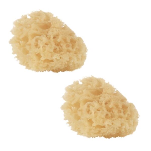 Set de 2 Esponjas Naturales para Bebé Jane